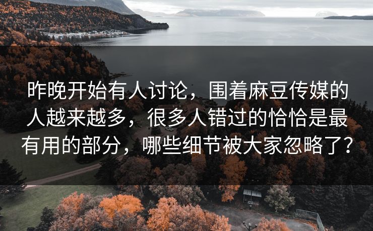 昨晚开始有人讨论，围着麻豆传媒的人越来越多，很多人错过的恰恰是最有用的部分，哪些细节被大家忽略了？